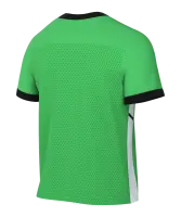 Nike Academy 25 Jersey-SC Grüne Heide