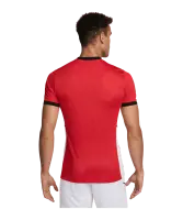 Nike Academy 25 Jersey-VfB Forstinning