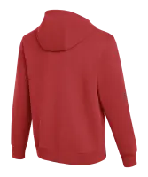 Nike Park 26 Hoody-VfB Forstinning