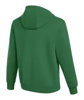 Nike Park 26 Hoody- TSV Brunnthal