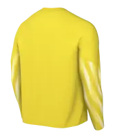Nike Park TW-Trikot langarm (gelb)-SC Grüne Heide