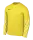 Nike Park TW-Trikot langarm (gelb)-SC Grüne Heide