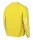 Nike Park TW-Trikot langarm (gelb)-SC Grüne Heide
