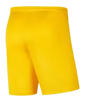 Nike Park III Knit Short-SC Grüne Heide