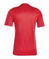 adidas Tiro 24 Trikot - FC Anzing-Parsdorf
